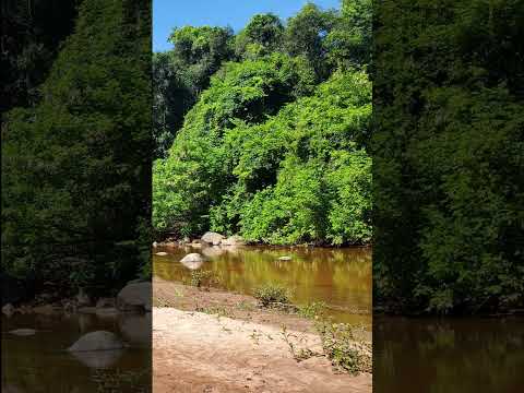 Un poco de Carapari-Tarija