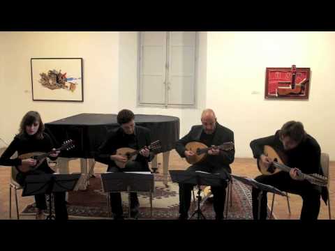 Nov Mandolin Ensemble: Fuga y misterio, A. Piazzolla