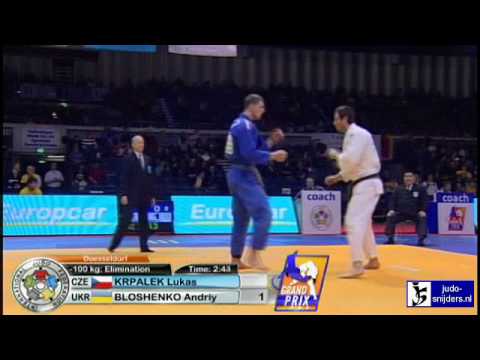 Judo 2010 Grand Prix Dusseldorf: Lukas Krpalek (CZE) - Andriy Bloshenko (UKR) [-100kg]