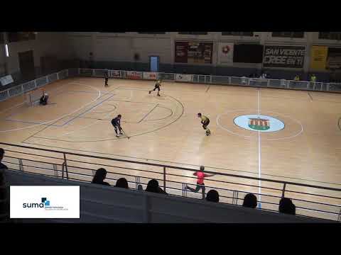 2ª P - OK LIGA BRONCE - CPP Raspeig vs HC Virgen de Europa