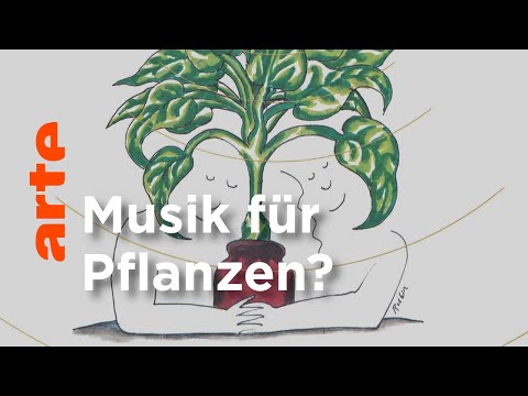 , title : 'Mögen Pflanzen wirklich Musik? | Kultur erklärt - Flick Flack | ARTE'