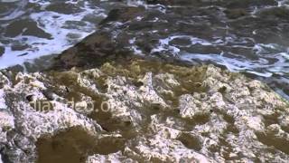 Rock Formations at Nagoa Beach, Diu 