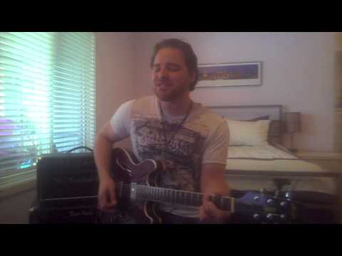 Shawn Colvin - Sunny Came Home [Cover by Brian Palay]