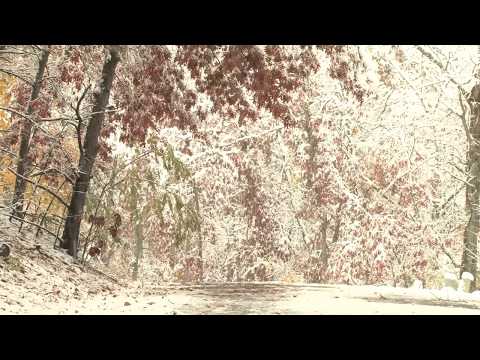 3 HOURS of Relaxing Snowfall  Falling Heavy Snow in Forest   The Best Relax Music 1080p HD   YouTube