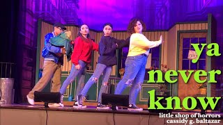 Ya Never Know - Little Shop of Horrors