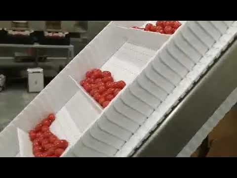 Fully automatic cherry tomato packing machine
