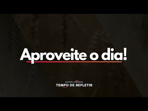 Tempo de Refletir 2518 - Aproveite o dia!