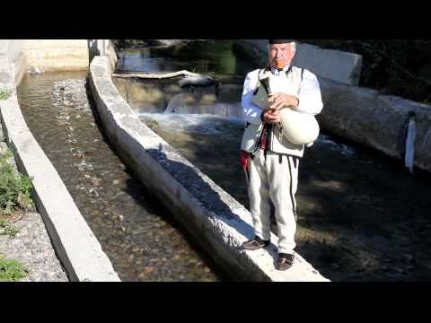 Solo Gajda 3 - Cele Blazeski / Shto imala kasmet Stamena