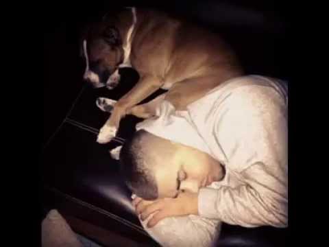 Noizy ft Lil Koli - Kush se din (official song)