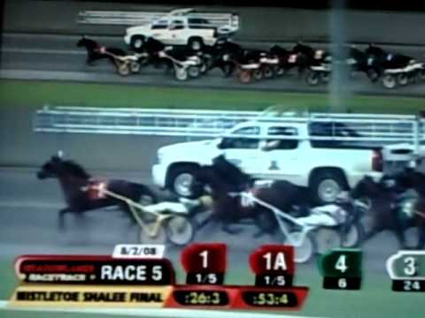2008 Hambletonian Day - Race 5 - Mistletoe Shalee Final