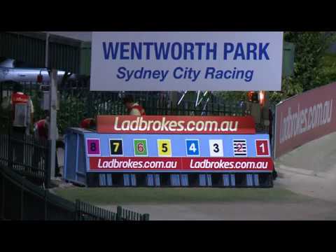 WENTWORTH PARK-20122017-RACE-4