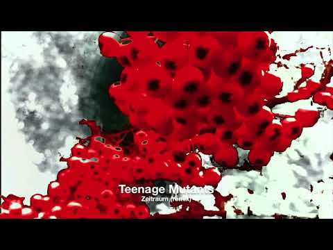 ROWA -  Zeitraum || Teenage Mutants Remix (Traum 235)