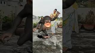 Bandar Mama Watch HD Mp4 Videos Download Free Bandar Mama Watch HD Mp4 Videos Download Free