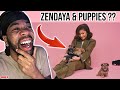 FIRST TIME REACTING To Zendaya The Puppy Interview