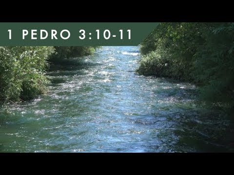 1 Pedro 3:10-11
