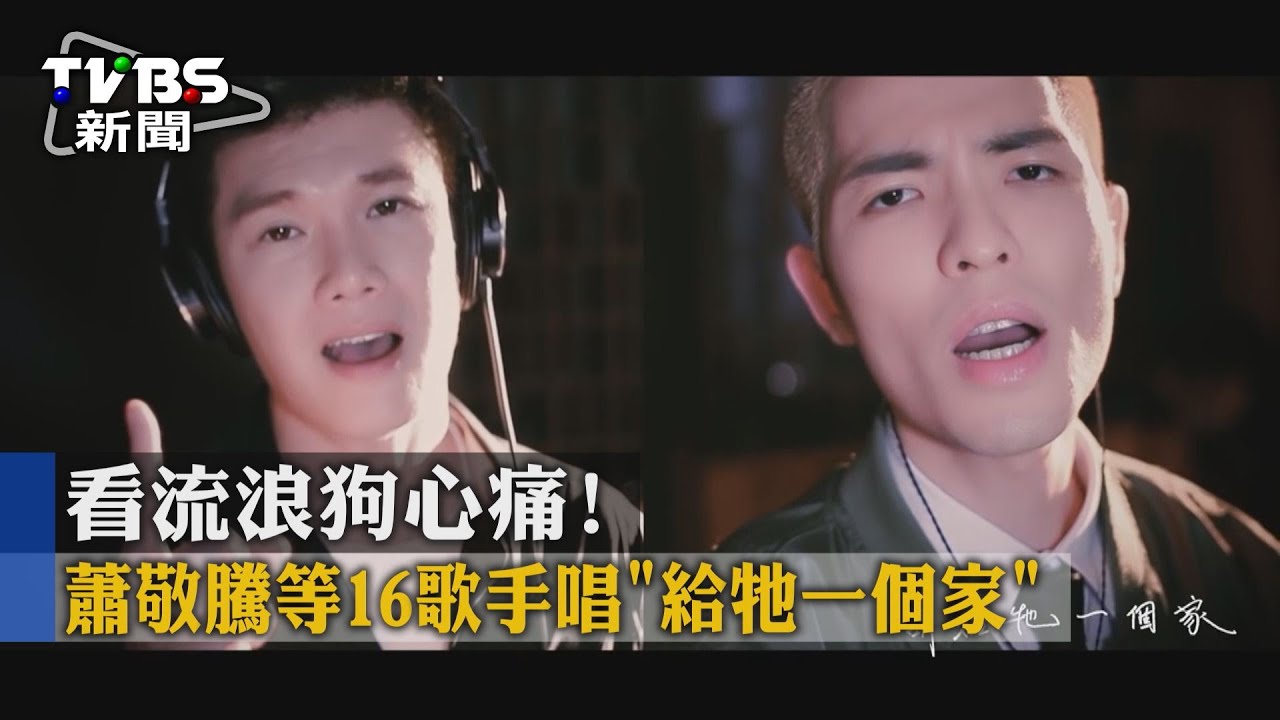 看流浪狗心痛! 蕭敬騰等16歌手唱《給牠一個家》