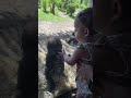 Baby Gorilla Meets Baby Human