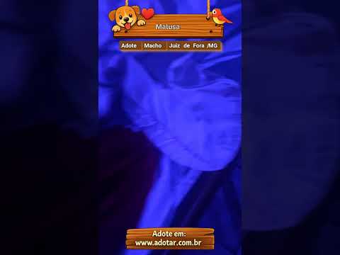 Vídeo de Matusa