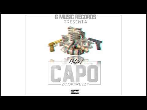 ZOOK x REEZY ~ FLOW CAPO 🤑💸 ( Prod. G MUSIC RECORDS )