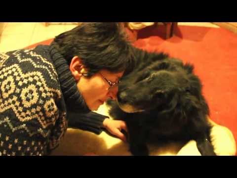 Sherif - LelencTanya 2014.01.24.