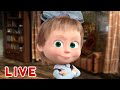 🔴 LIVE 👱‍♀️🐻 Masha y el Oso 🧑‍🏫📚 Las camisas blancas 🧑‍🏫📚  Masha and the Bear💡EN VIVO
