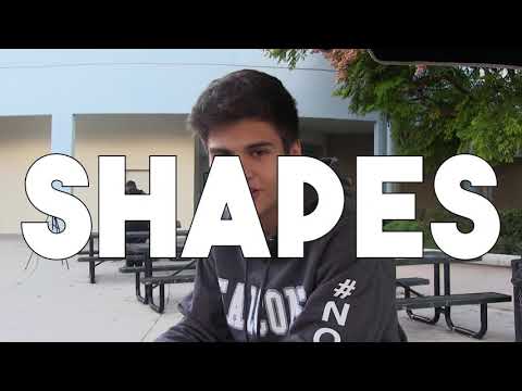 The Worship of Jamal the Activity Cat