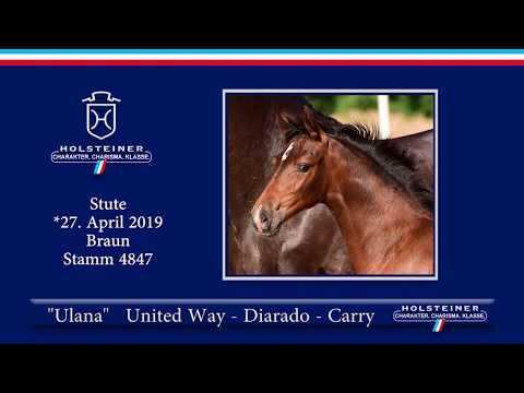Holsteiner Elite-Fohlenauktion 2019 - Nr. 69 Ulana v. United Way-Diarado