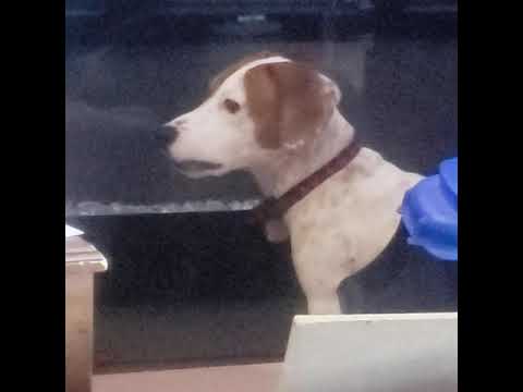 Lance sees his refection