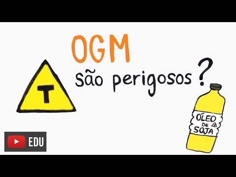 Is transgenic/GM food safe?