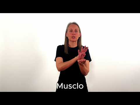 Musclo - LSC