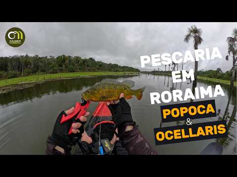 Explorando o Lago Secreto de Mucajaí | Roraima