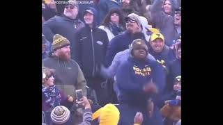 [神椿] 花譜 「飛翔するmeme」 歌詞