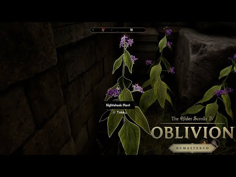 Where to find Nightshade - Vampire Cure | Oblivion Remastered - Elder Scrolls 4