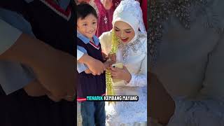 Download lagu Little Sibling's Innocent Antics Freak Out the Bride and Groom! 😂 #shorts mp3 Download lagu Little Sibling's Innocent Antics Freak Out the Bride and Groom! 😂 #shorts mp3