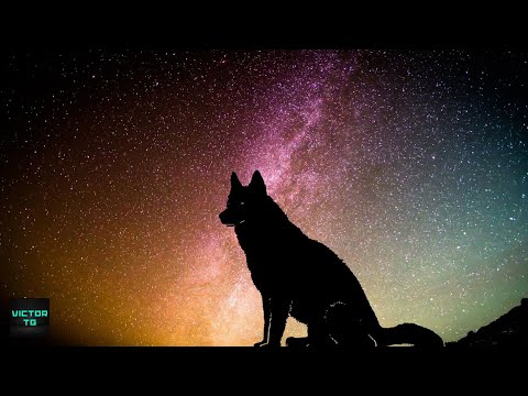 3D Music | Abelvolks EletroFunk 2021 - MEGA DA VIRADA - MC Laureta - MC Lina (Vigaz)