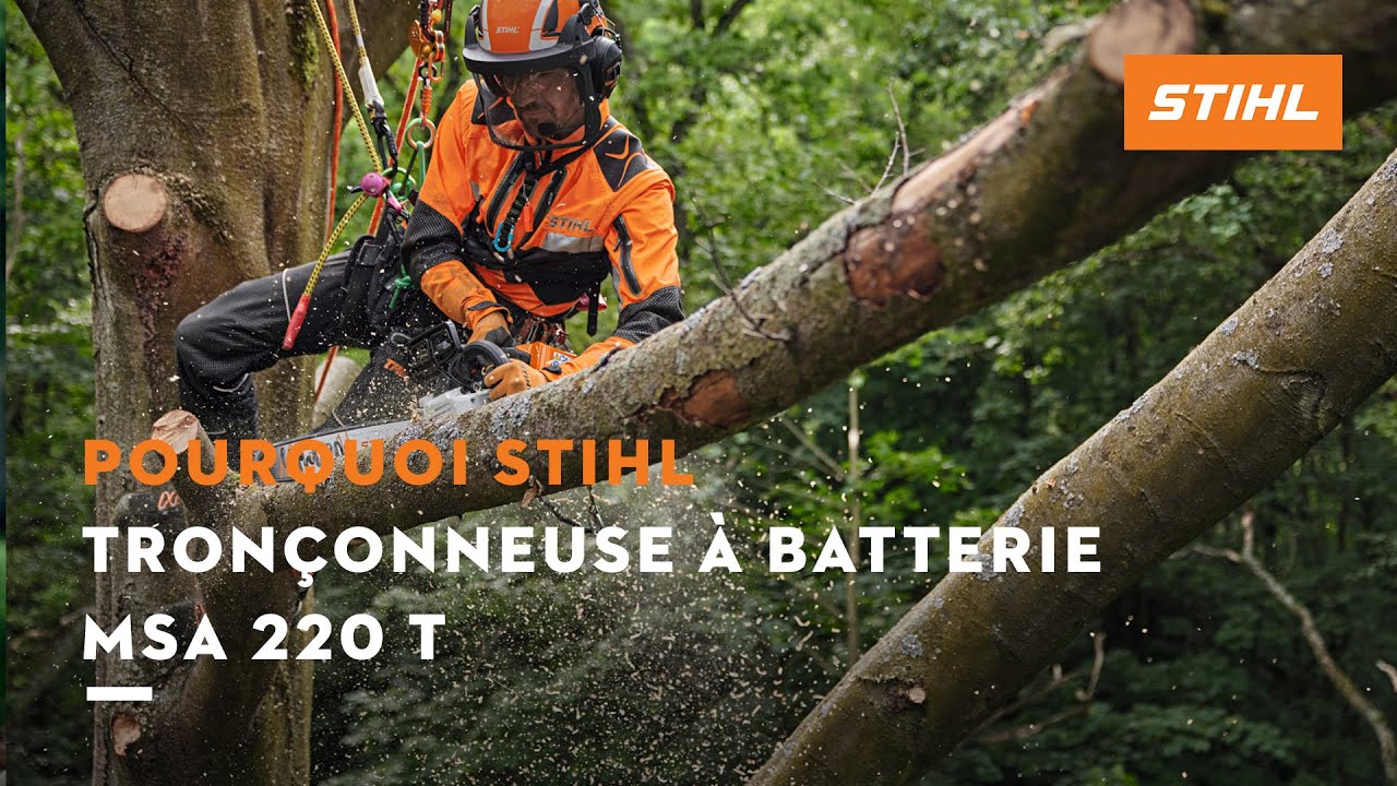 Elagueuse à batterie Guide 35cm