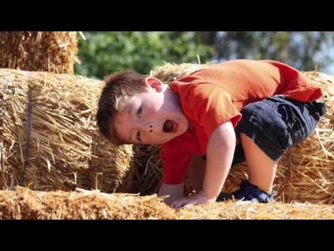 Spargelhof Kremmen - Hoffeste