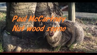 Paul McCartney Nut wood scene