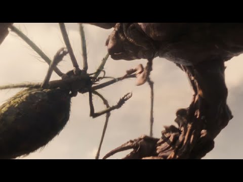 Monarch: Legacy of Monsters 1x01 - Mother Longlegs Vs Mantleclaw Fight Scene (HD)