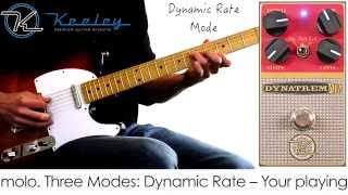 Video thumbnail for Keeley DynaTrem Dynamic Tremolo by Mike Hermans