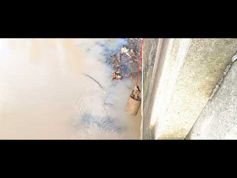 Magnet fishing, the calm before the storm🌬️💨🌳