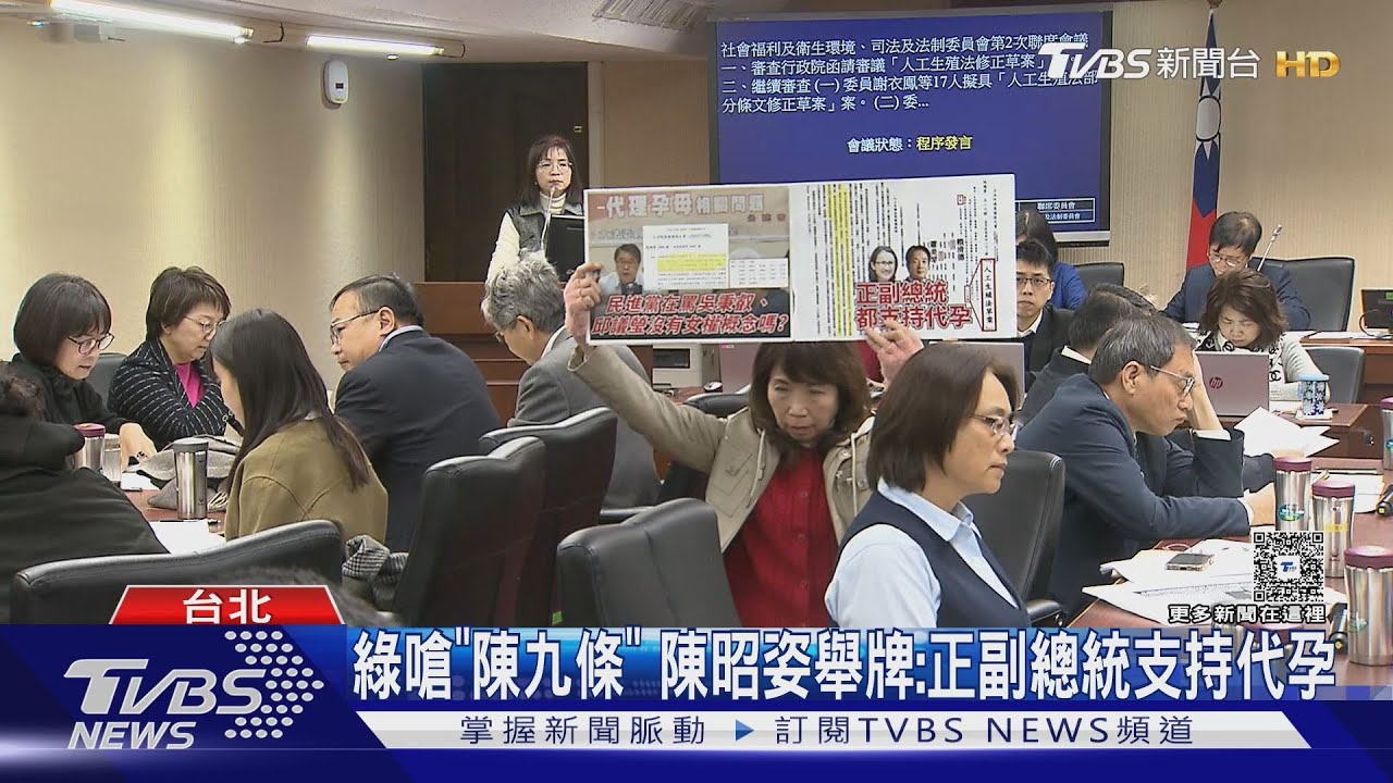 綠嗆「陳九條」 陳昭姿舉牌:正副總統支持代孕