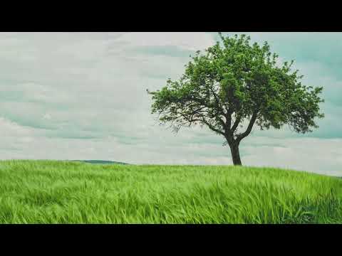 Stop and breathe - Piano mix