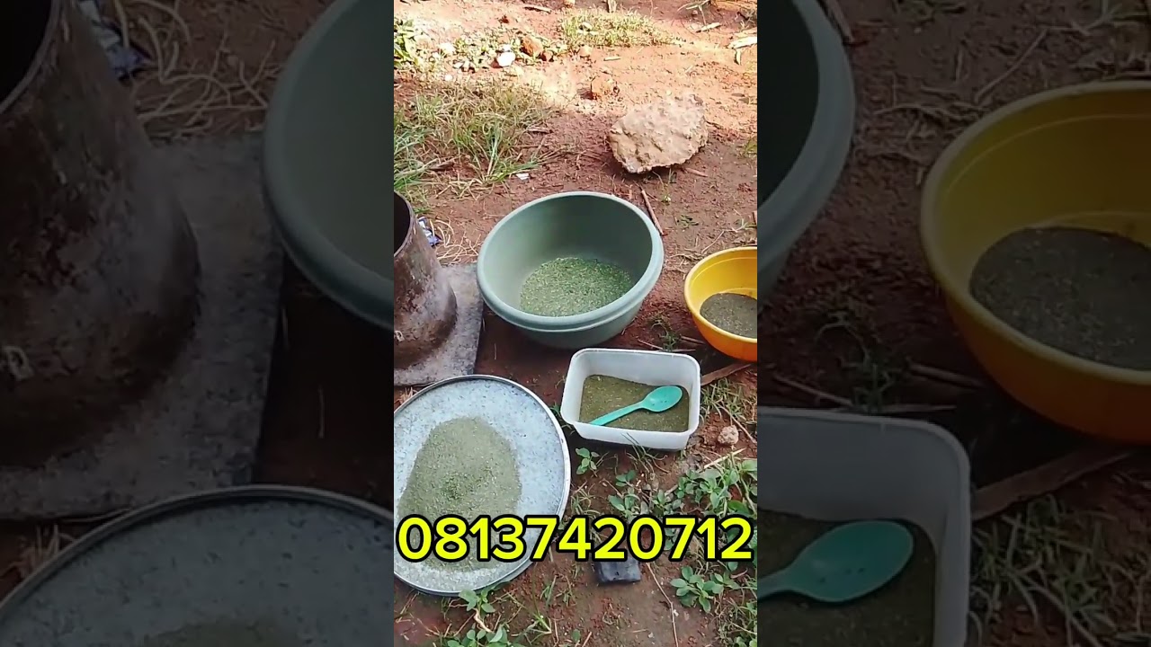 AGUNMUN IFUNPA GIGA BP TODAJU,, PELU AGUNMUN GBOGBO NISE INUN ARA