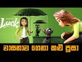 වාසනාව ගෙනා කළු පූසා | Luck Movie explained in Sinhala | Baiscope tv Sinhala Review 20