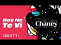 Conjunto Chaney - Hoy No Te Vi | Salsa Romántica