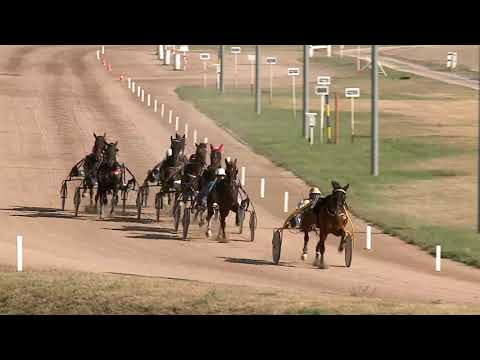 2021.09.12. 07. futam - 107. HUNGÁRIA DÍJ (NÜL-VIII.)