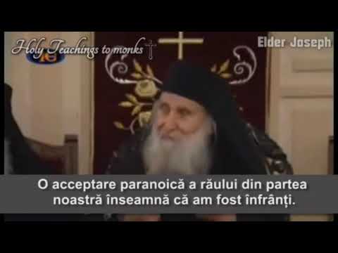 Pr. Iosif Vatopedinul: "Sunt o ființă logică. Evit tot ce e nebunesc, pentru că aparține animalelor"