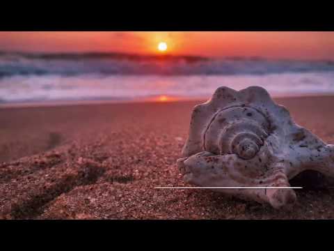 Best Honeymoon Destination |ANANTAYA Resort & Spa |Pasikudah