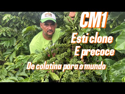 26 de janeiro de 2026